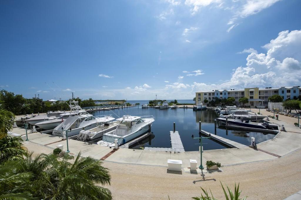 Licensed Mgr - Modern 3/3.5 Villa - Key Largo'S Most Upscale Oceanfront Resort! Exterior foto